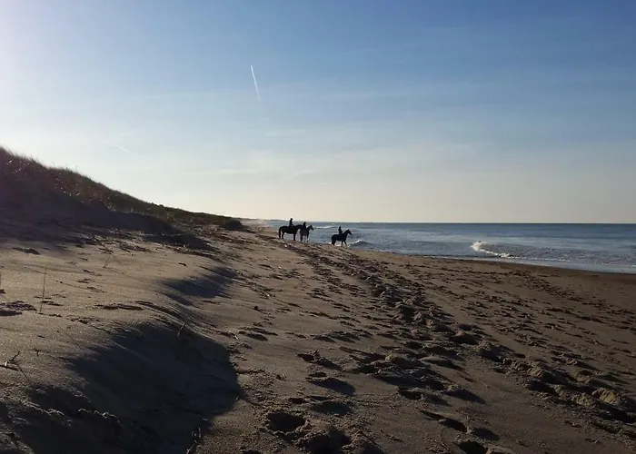 Morski Проживание в семье *