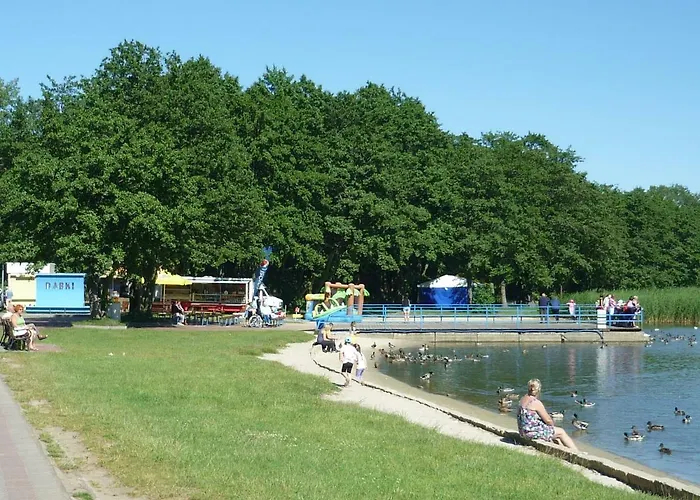 Проживание в семье Morski